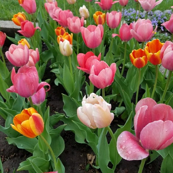 Meet your Posher, Michelle - Picture 1 of 1